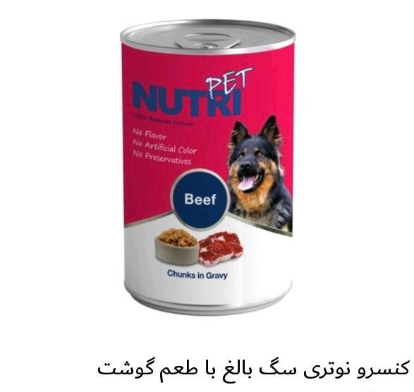 کنسرو نوتری سگ بالغ با طعم گوشت